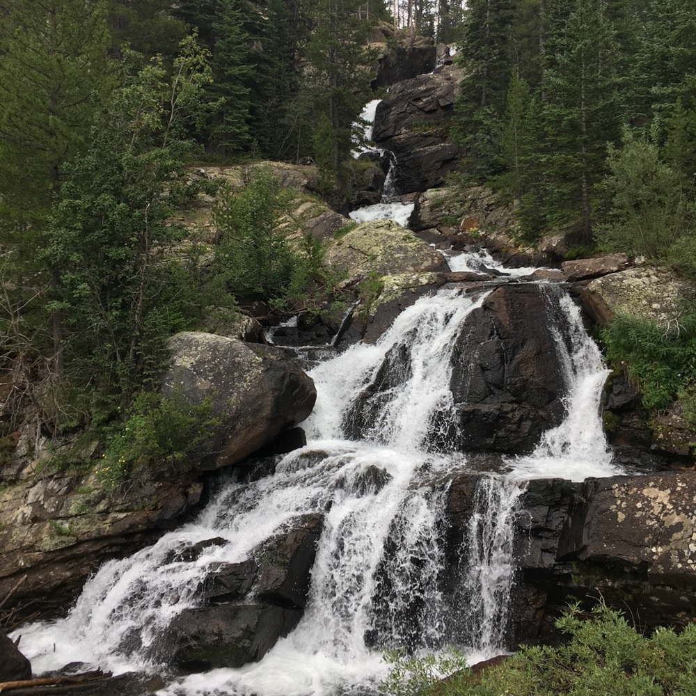 Meet your Posher, Brooke